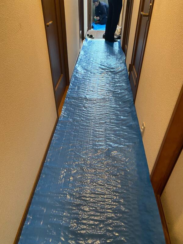 玄関からユニットバスまでの通路養生